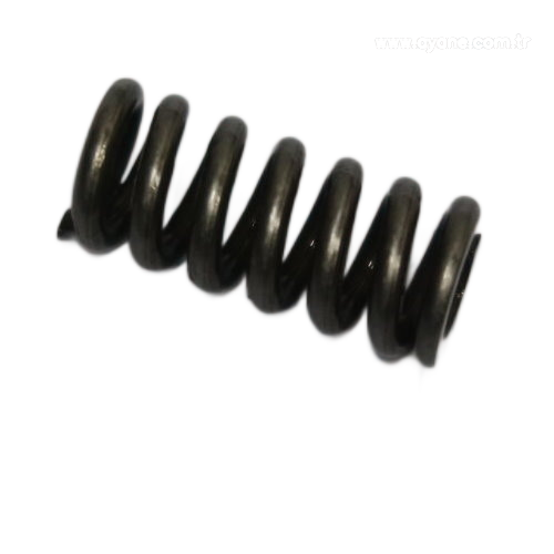 Compression spring - 1820.010.213