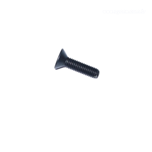 Counter sunk screw - 1911.905.162