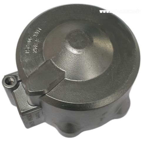 Cylinder complete - 1831.011.003
