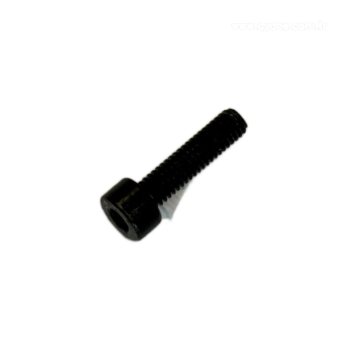 Cylinder head screw - 1911.004.162