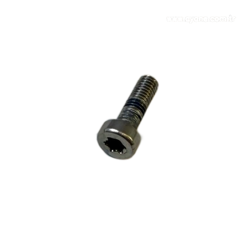 Cylinder head screw Torx - 1913.903.104