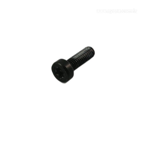Cylinder head screw Torx - 1913.904.125
