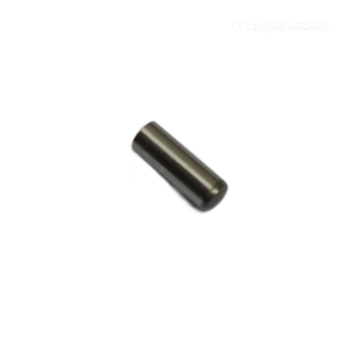 Cylinder pin - 1921.303.100