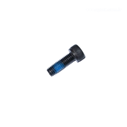 Cylinder screw - 1911.006.222
