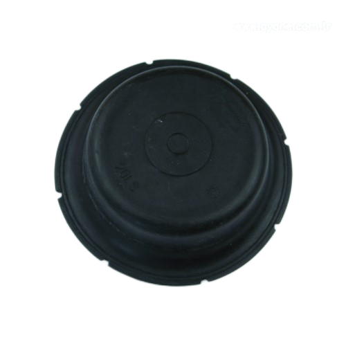 Diaphragm - 306685