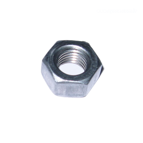 L. H. nut - 005209