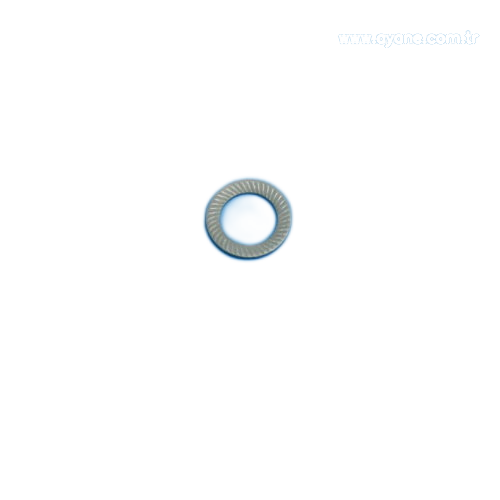 Lock washer - 1919.608.082