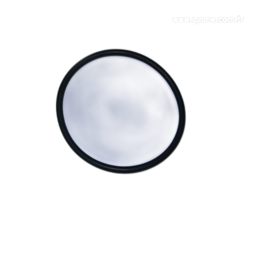 O-ring  - 424203