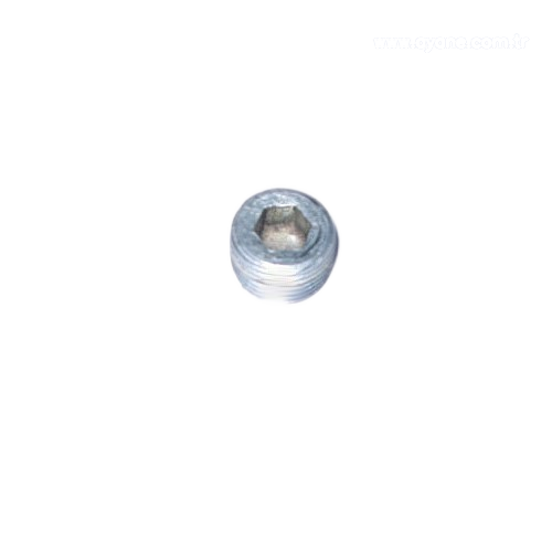 Pipe Plug - 008922