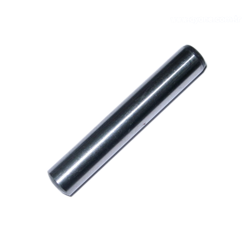 Pivot pin - 423516