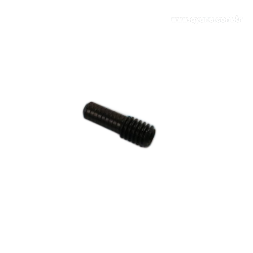 Screw - 2973.100.139
