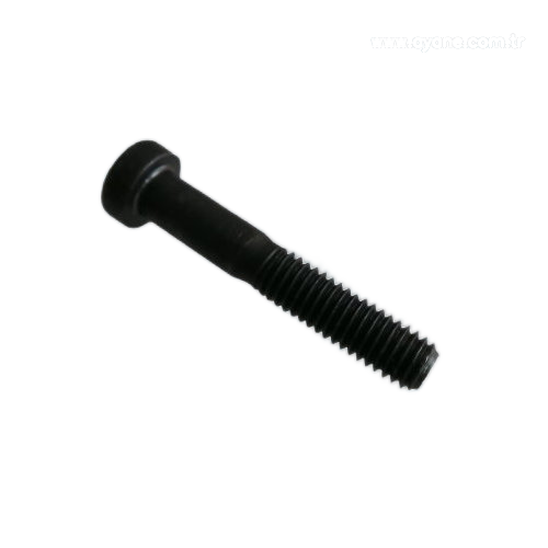Screw - N1.1170