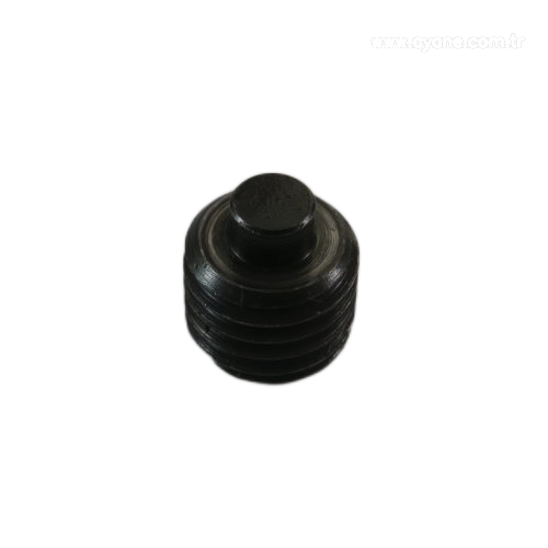 Set screw with dog point - 1820.030.092