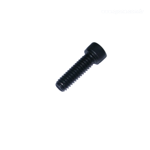 Socket head cap screw - 007828