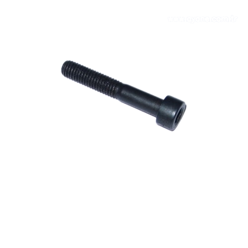 Socket head cap screw - 008738
