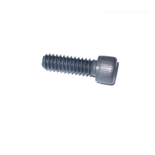 Socket head cap screw - 009041