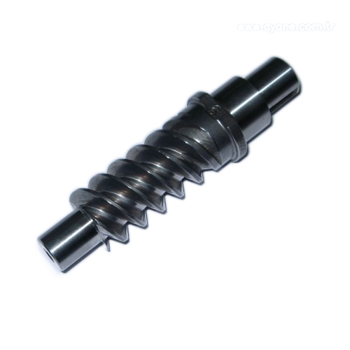 Worm - 423530